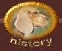 history