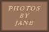 janeanimbyn.gif (20031 bytes)