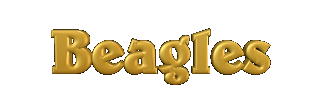beagles1.gif (8335 bytes)
